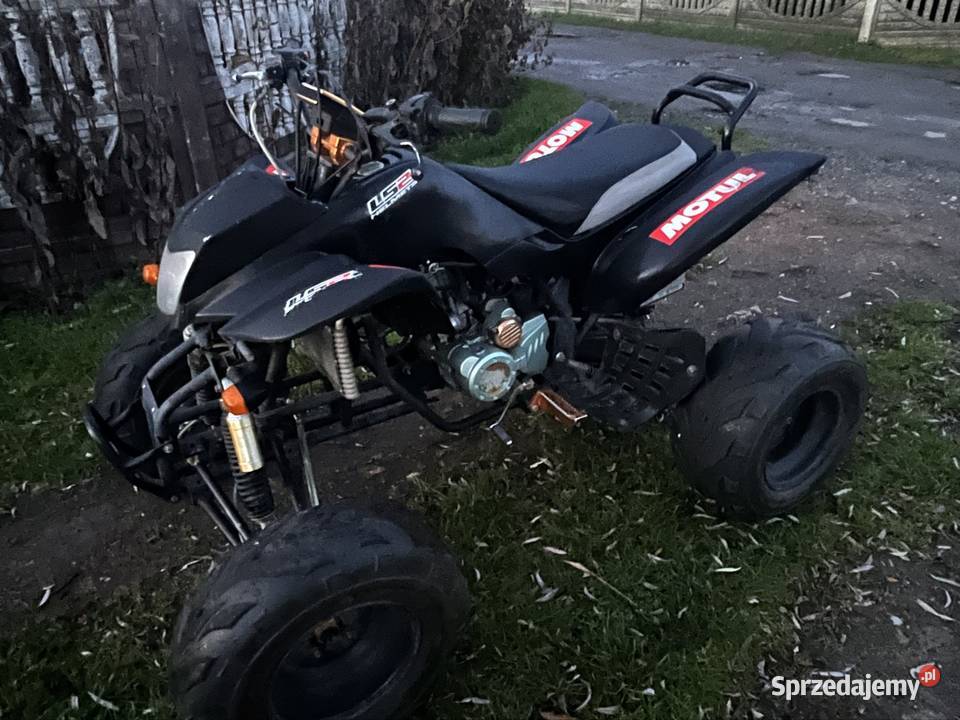 Quad Bashan 250 opolskie Szum