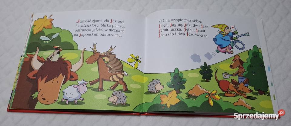 ABC Uczę się J jamniki Strzałkowska Hachette sprzedam
