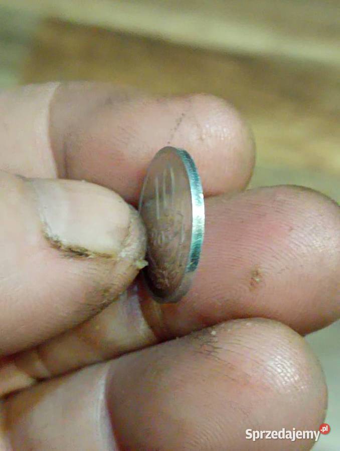 Sprzedam monete 10 geoszy 1978 Antyki, Sztuka, Kolekcje Chełm