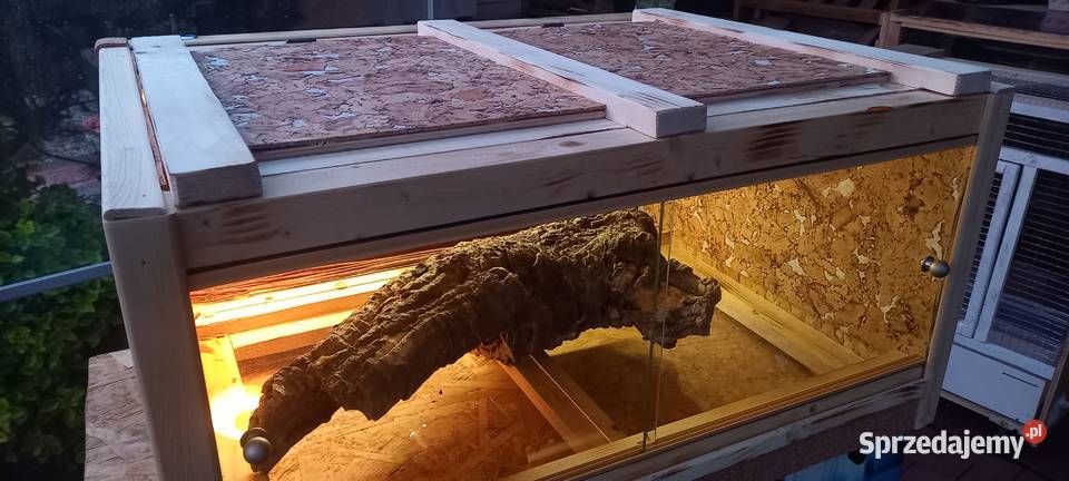 Żółw grecki i piękne terrarium sprzedam