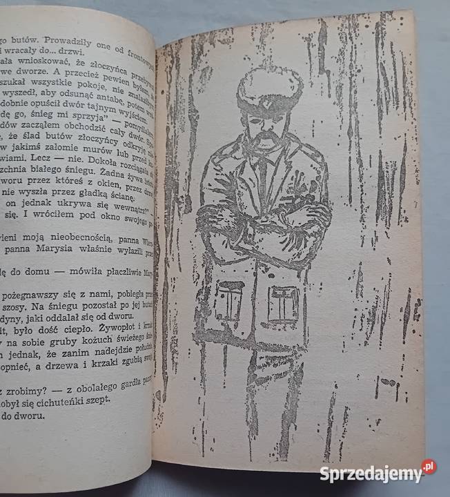 Zbigniew Nienacki Niesamowity dwór Wydawn Koźminek sprzedam