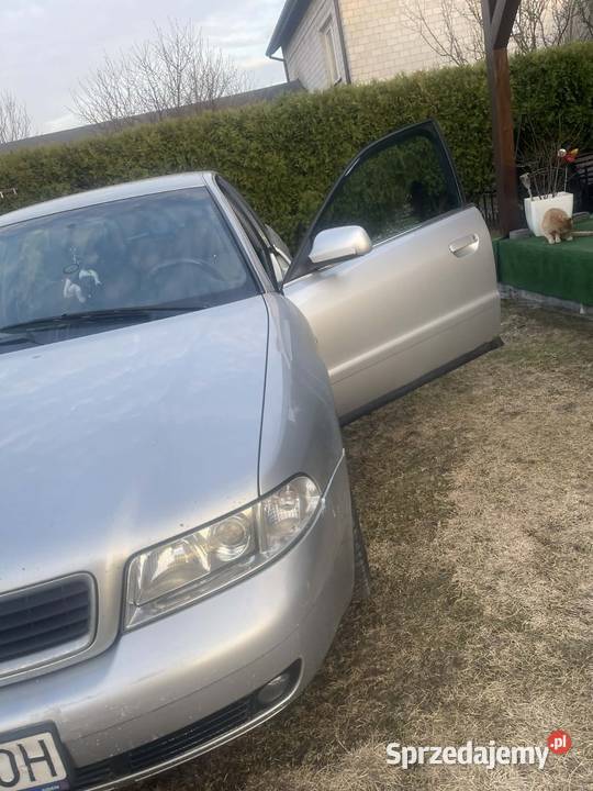 Audi A4 B5 Marki
