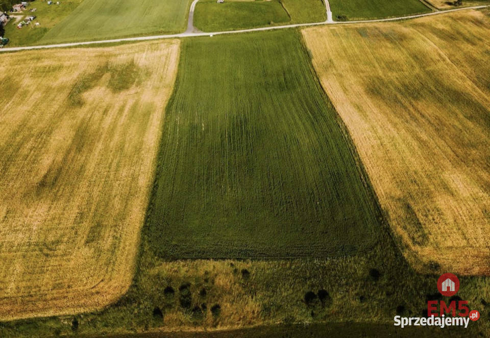 Działka 12000m2 Żegary