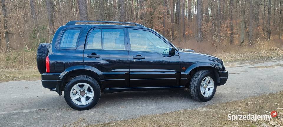Suzuki grand Vitara 20 HDi zdrowa Lipsko