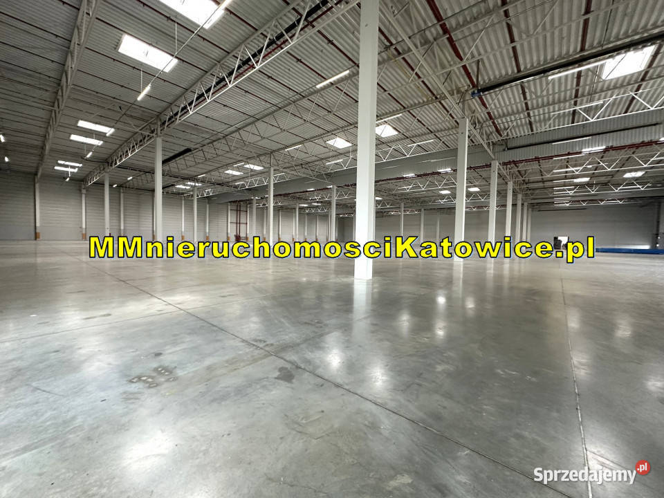 Lokal na wynajem Piotrków Trybunalski 10400m2