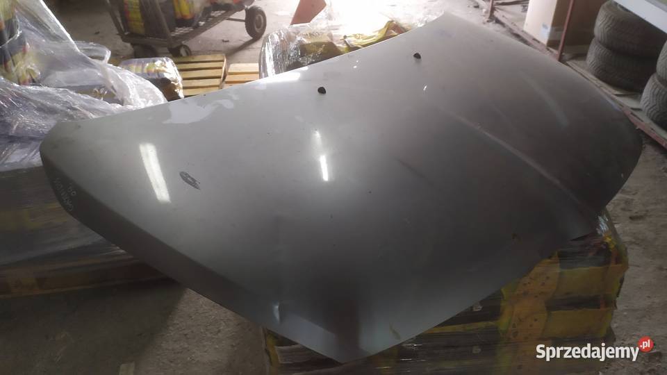 Mitsubishi Grandis maska