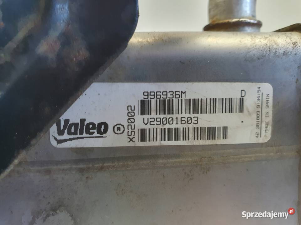 Renault Scenic III 19 DCI CHŁODNICA SPALIN egr Rudka