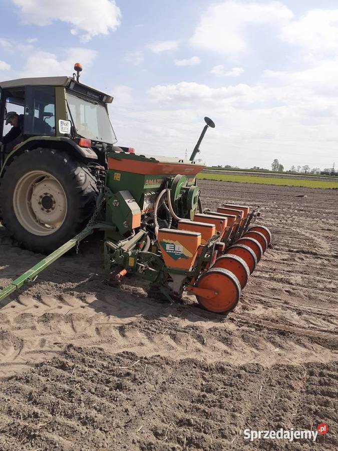 Siewnik do kukurydzy Amazone ED 451K 6 Becker Ślesin