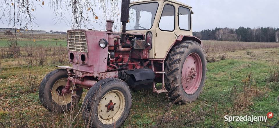 Białoruśka mazowieckie