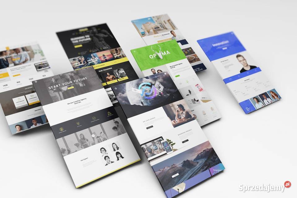 Nowoczesne Strony Internetowe Strona WordPress z Tworzenie stron internetowych wielkopolskie Poznań