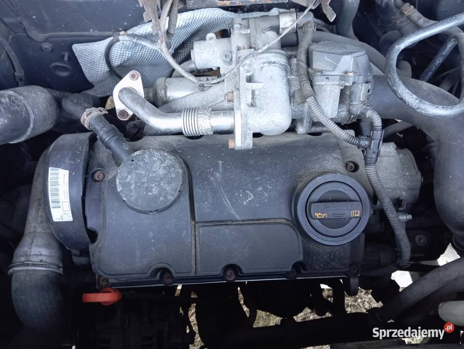 VW transporter T5 19tdi 2008r nieuszkodzony Koszalin