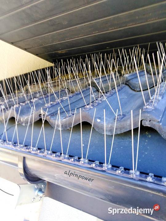 Montaż kolców przeciw ptakom Warszawa Montaż usługi dla zwierząt