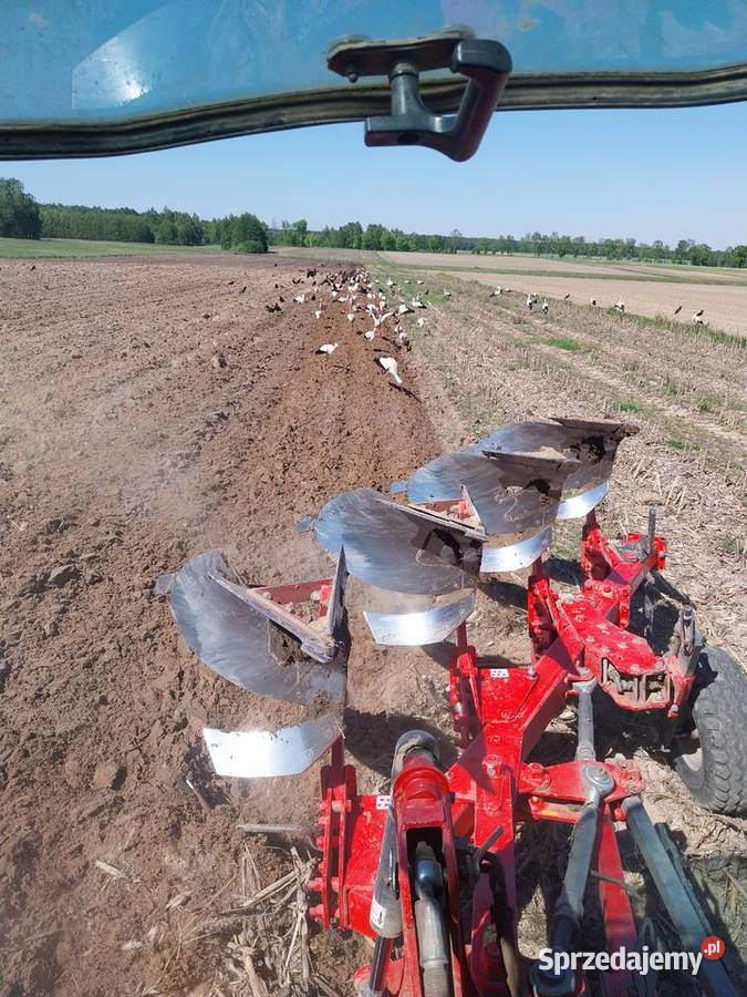 Pług obrotowy akpil 80 nieuszkodzony Pługi podlaskie Łubin Rudołty