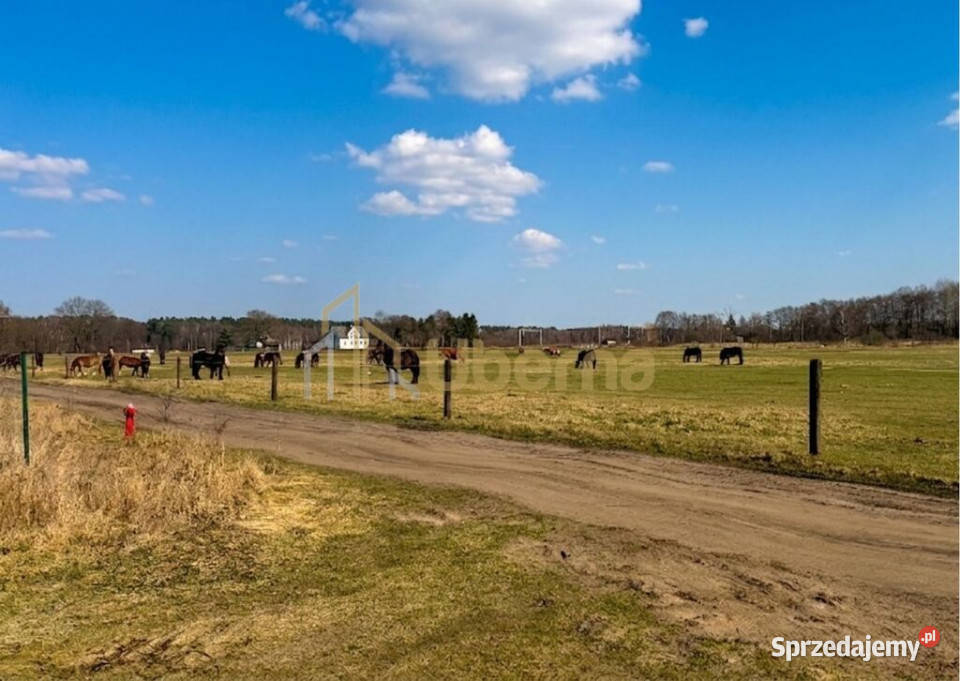 Działka 1506 m2 Białuń Jarzębinowa MPZP Sprzedaż
