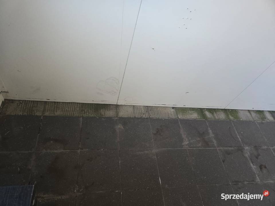 Kontener pawilon biurowohandlowy socjalny