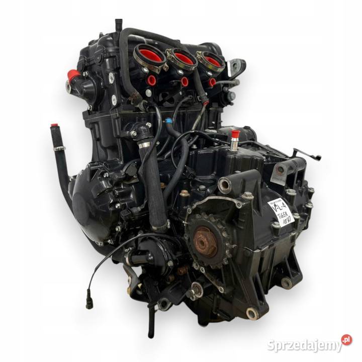 SILNIK Triumph Tiger 1050 115 20072012 engine Chełm