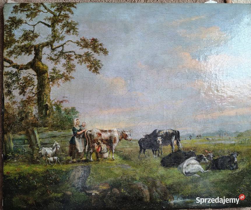 Barokowy obraz olejny Krowy Kartuzy