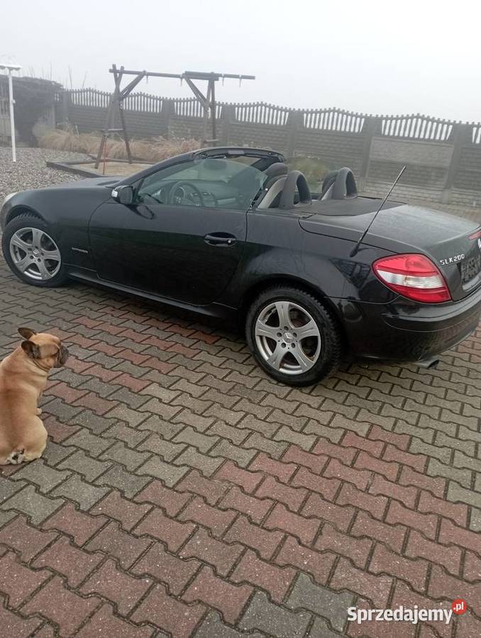 Mercedes slk r171 wielkopolskie Konin