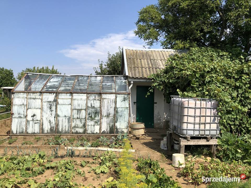 Odstapie ogródek ROD w Nowym Dworze Gdańskim Nowy Dwór Gdański