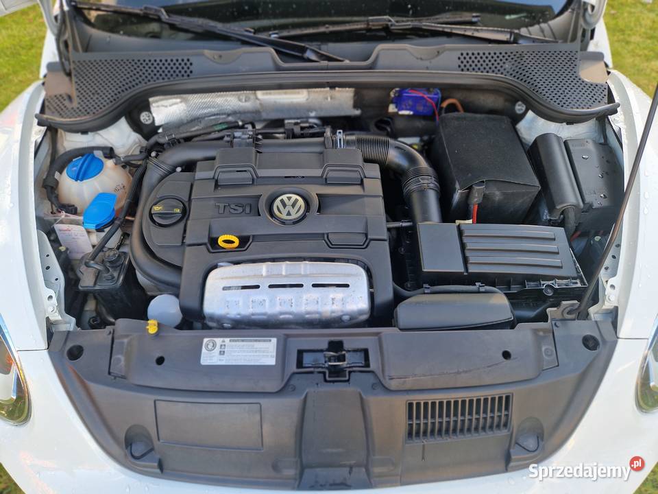 VOLKSWAGEN Beetle klimatyzacja Kartuzy