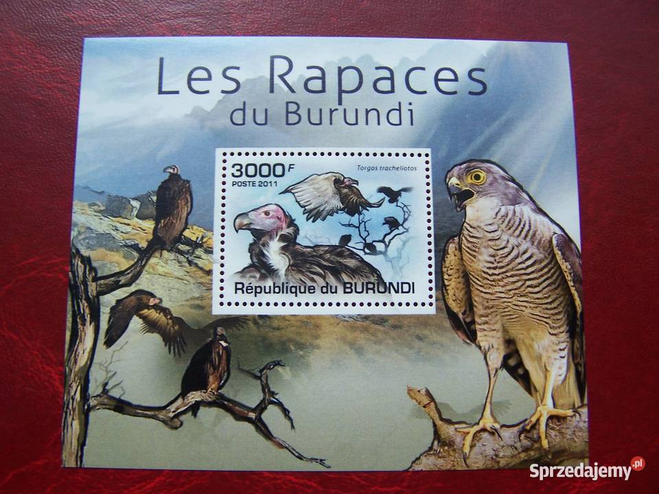Burundi 2011 MNH Fauna Ptaki Drapieżne Tychy