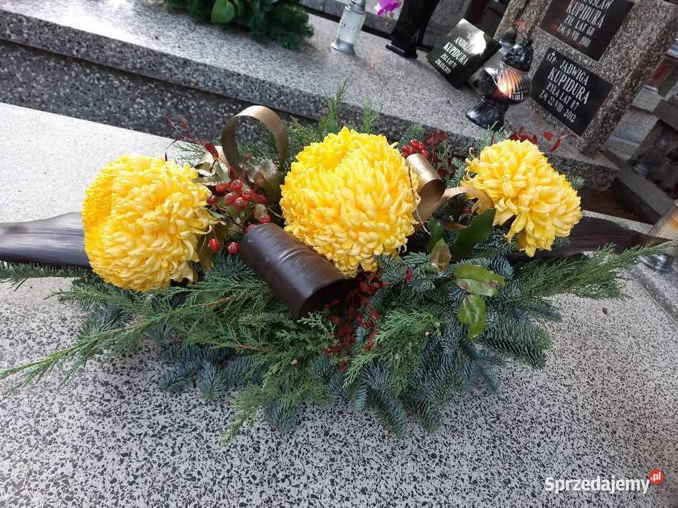 Chryzantemy doniczkowe wiązanki i bukiety Dom i Ogród mazowieckie Radom