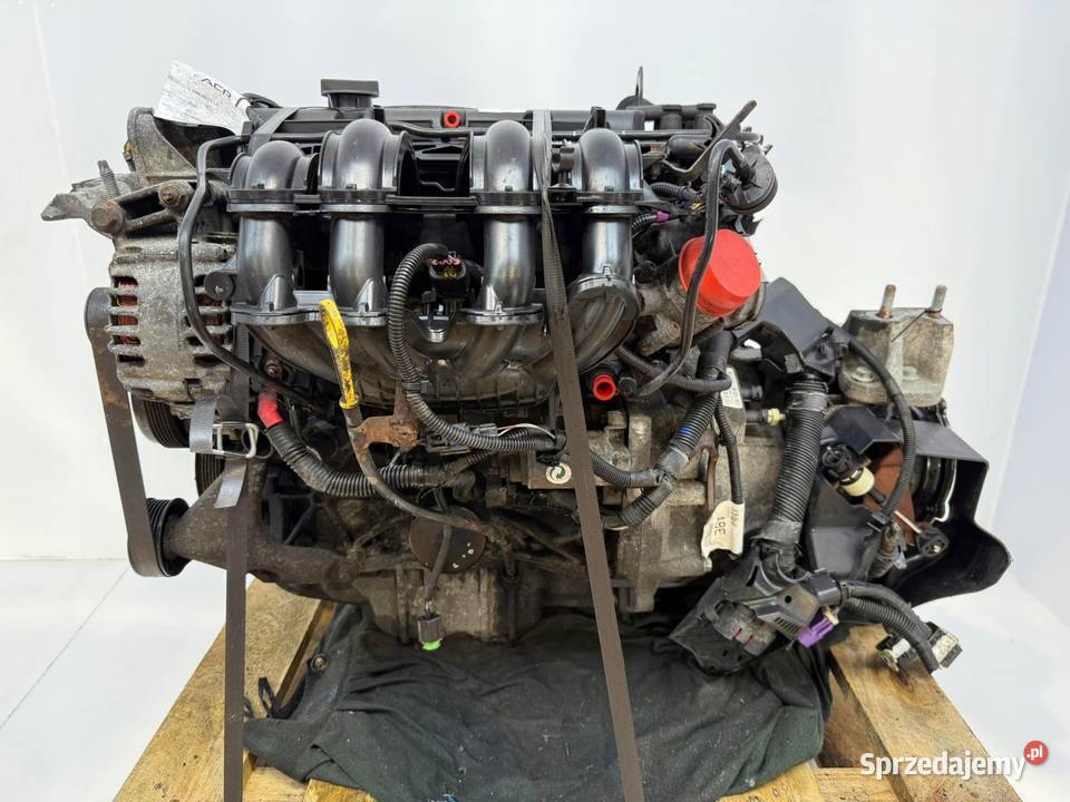 SILNIK SNJA Ford Fiesta VII MK7 125 82 benzyna osobowe Chełm
