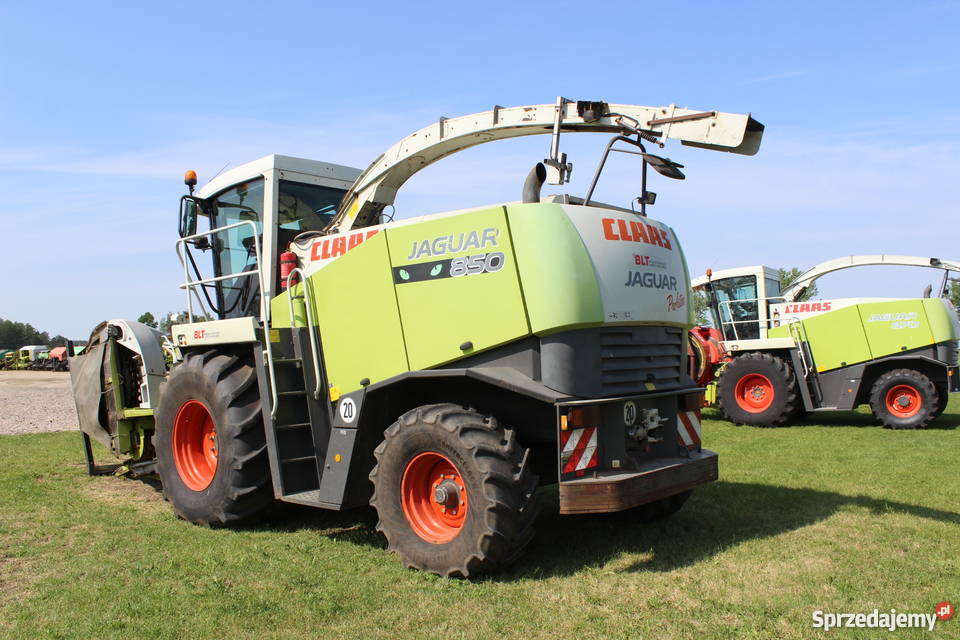 Claas Jaguar 850 Profistar dobrze wyposażony Sokoły