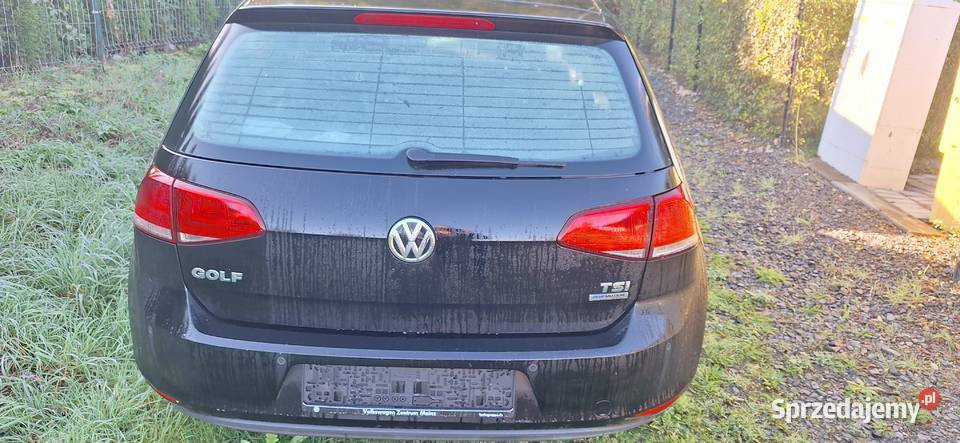 VW Golf VII 12 TSI 86 koni niski przebieg 86KM Wilków sprzedam