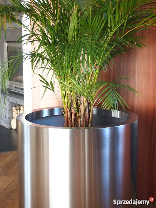 Luksusowe Nowoczesne Donice do Salonu Biura Kraków