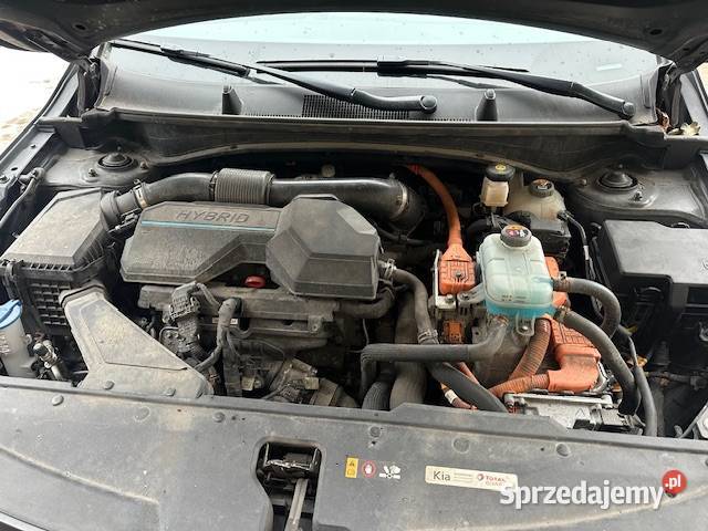 Kia Sportage 16 Hybryda Plug In zasięg na automatyczna pomorskie