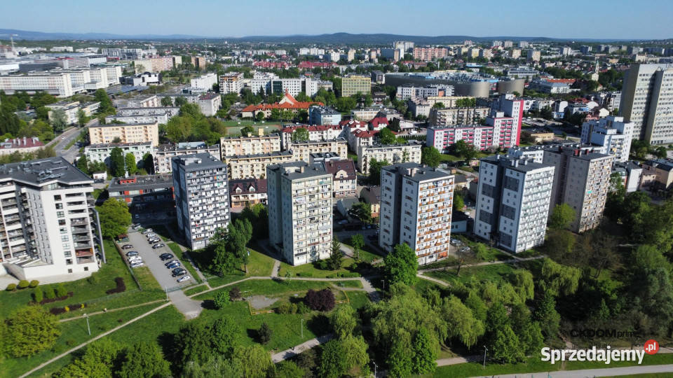 Mieszkanie Nowy Świat w nowoczesnym stylu Kielce
