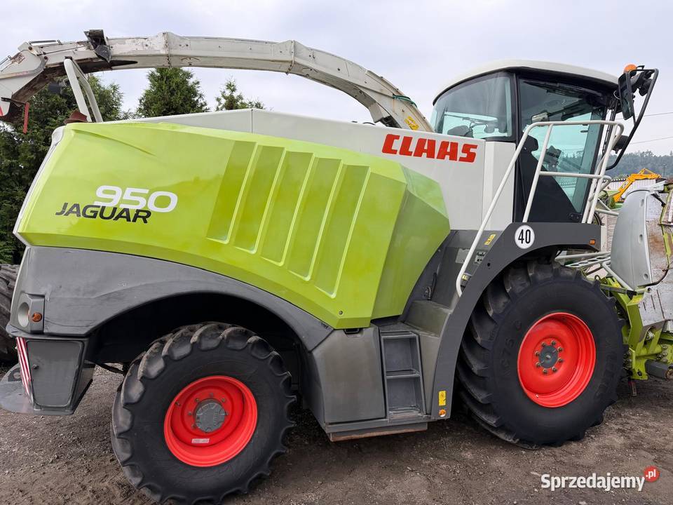 Sieczkarnia do kukurydzy Claas Jaguar 950 w Nowa Ruda