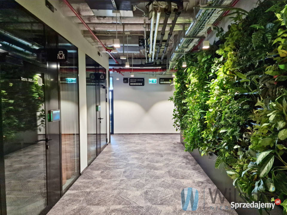 wynajmu lokalu 30m2 Warszawa