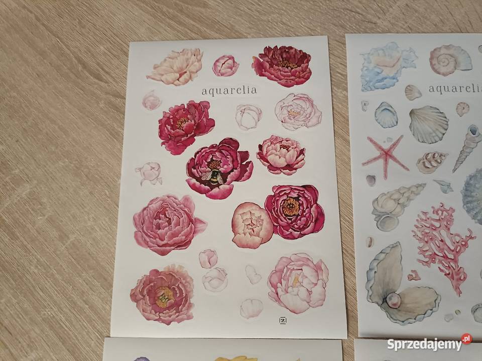 Zestaw naklejek motyw kwiatów morza Kwidzyn
