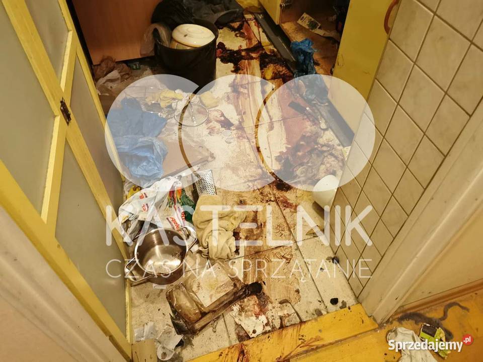 Dezynfekcja i sprzątanie zgonach Braniewo