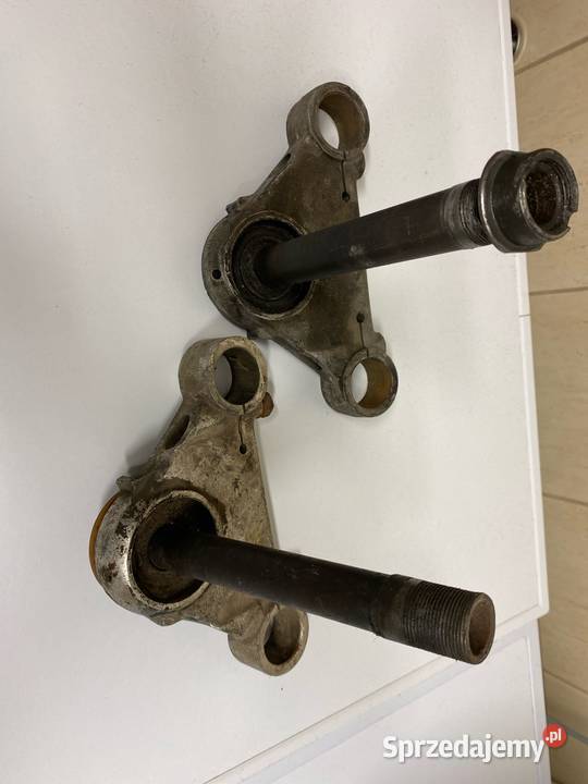 Półka dolna Pannonia Panonia