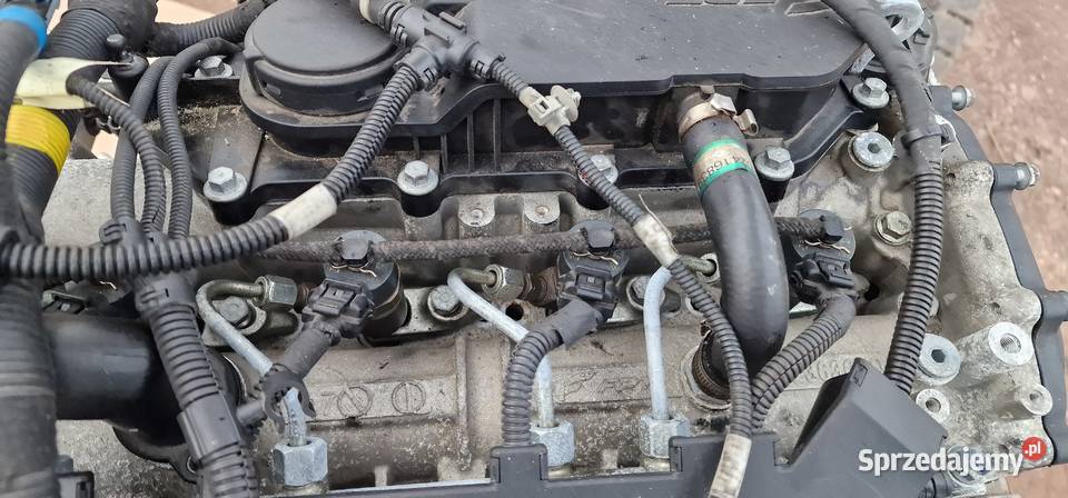 IVECO DAILY IV FIAT DUCATO POMPA WTRYSKOWA Z Trzciel sprzedam