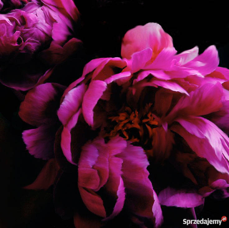 Malowanie obrazów na zamówienie Malarstwo Wrocław