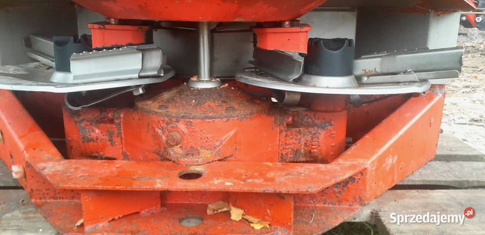 Rozsiewacz mazowieckie Tczów