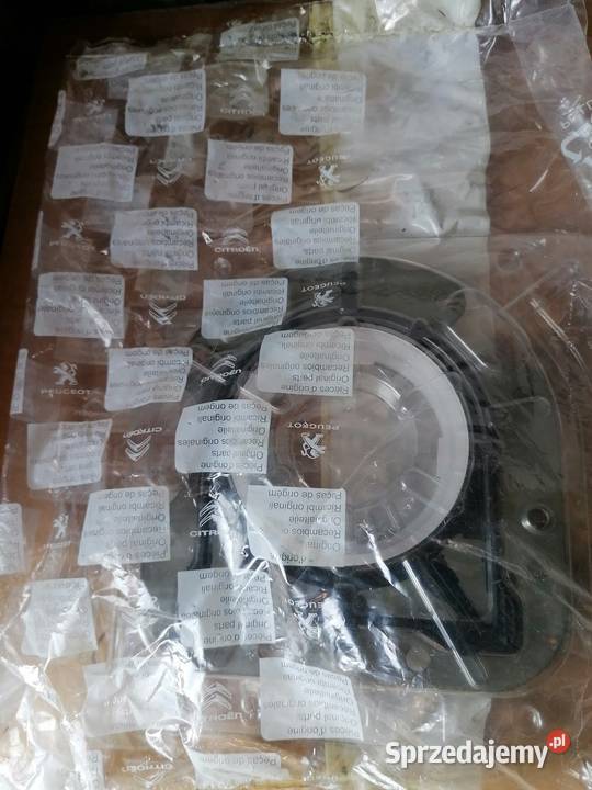 Peugeot 208 Citroen DS Opel uszczelniacz wału Balice