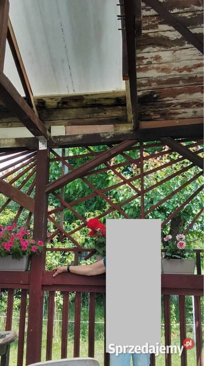 Odstąpię ROD Kolejarz 380m2