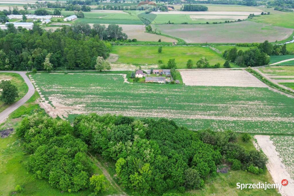 Działka budowlana 3403 m gm Teresin MPZP media 29m Pawłowice