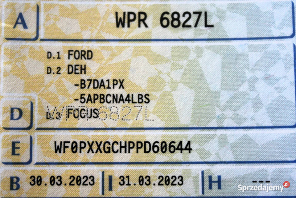 Ford Focus SalonPL FV23 Titanium PakWinter 125 biały Focus Sokołów