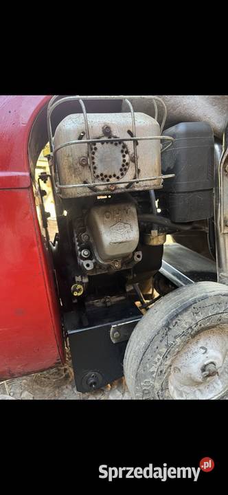 TORO 62925 odkurzacz do liści i kurzu spalinowy Podskarbice Szlacheckie