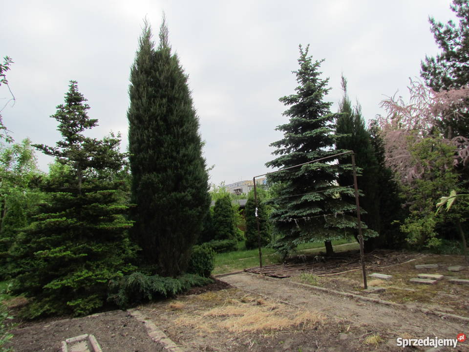 SPRZEDAM DZIAŁKĘ w ROD Łódź sprzedam