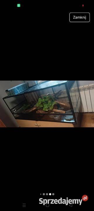 Terrarium Tarnobrzeg