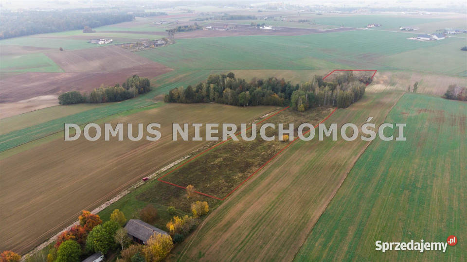 sprzedaży gruntu 3000m2 Jasień Sprzedaż sprzedam