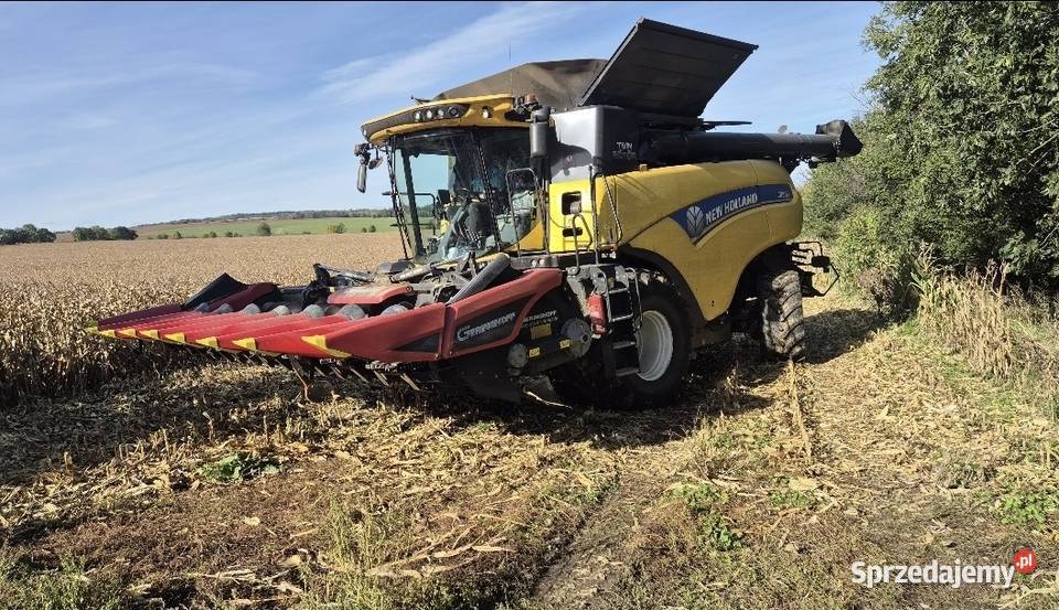 Koszenie kukurydzy opolskie cr11 cr 990 Niemodlin
