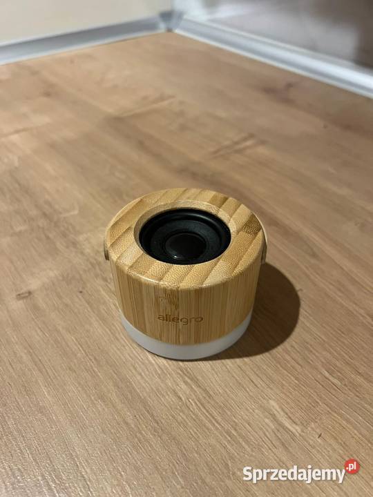 Drewniany głośnik z lampką Allegro Gdańsk